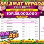 Jackpot di PG Soft – Wild Ape LUNAS dari Tumble Pendek Tapi Brutal WD IDR 35.000.000